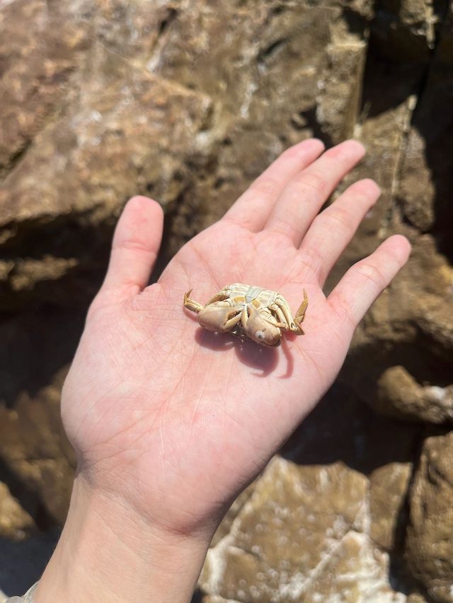 家人們！我在深圳這裡竟然看到了玻璃海！就在鹿嘴山莊啊啊！