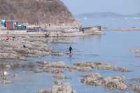 煙台東山棧橋｜浪漫的花瓣棧橋你值得擁有