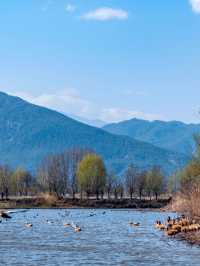 劍湖國家濕地公園遊玩攻略