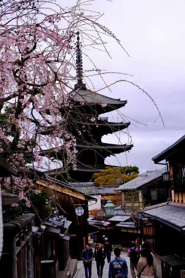 京都旅行必打卡！入住東山，步行直達網紅景點，清晨私享靜謐之美