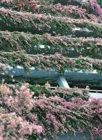 深圳「小花園」可以讓你出大片哦