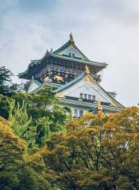 日本旅行！適合春季賞櫻的大阪城公園