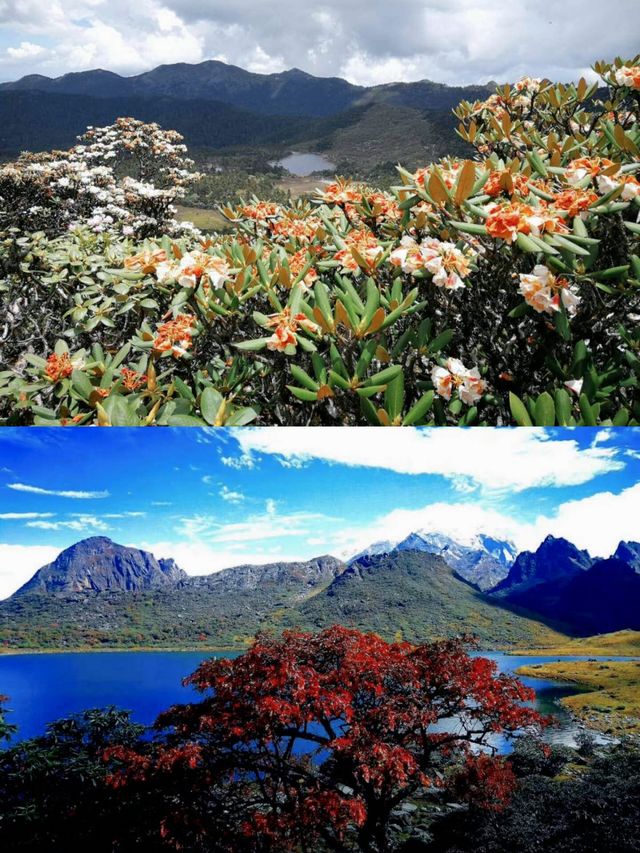 除了河南，其實在雲南麗江也有一座老君山