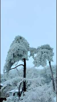 探索冬日仙鏡！“江西廬山”被譽為“南方賞雪天花板”