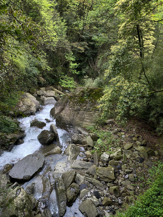 在重慶我會打卡無數次的風景，真的太美了