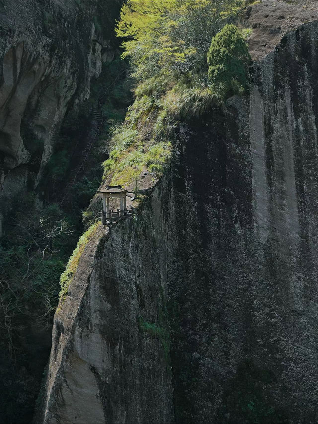 武夷山｜詳細攻略輕鬆暢遊山水間！