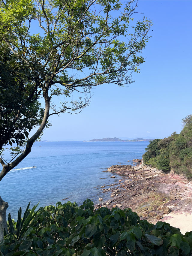 懸崖半山上的獨棟民宿！太美了