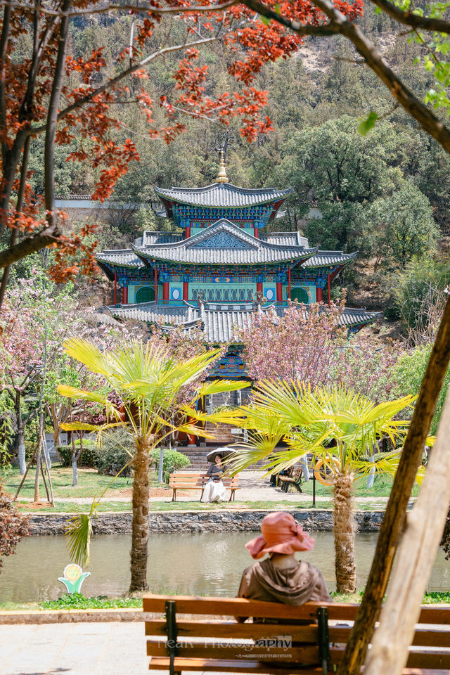 Welcome to the historical and cultural heart of Lijiang's most beautiful park, the Wufenglou of Fuguo Temple🌸.