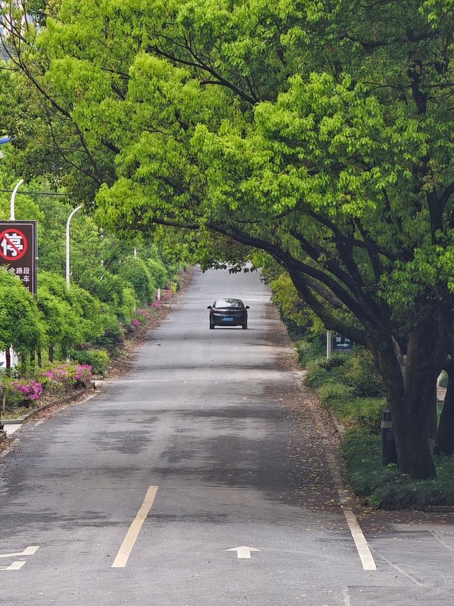 斗岩風景區…春天的氣息