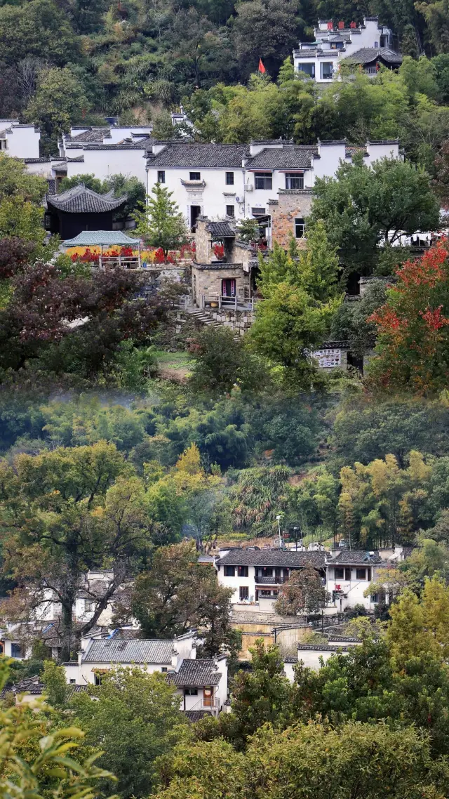 塔川秋色|この国家地理に推奨された秋の旅行ルート