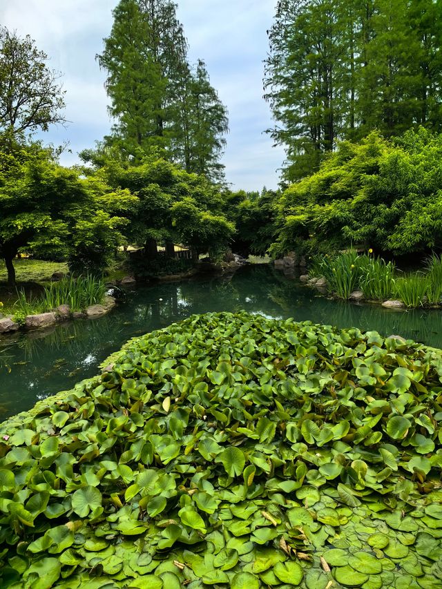 瘦西湖，景色宜人