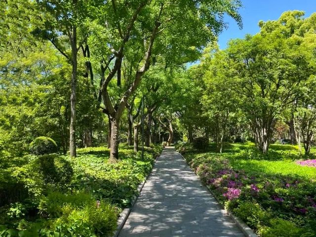 位於上海市中心的免費公園，交通便利、美若仙境