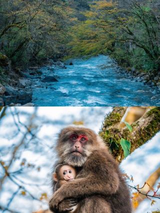 Surrounding Chengdu! Found the oil painting same style of Western Sichuan's little Nara, I've been wanting to come to Laba River for fun, and finally made it this time