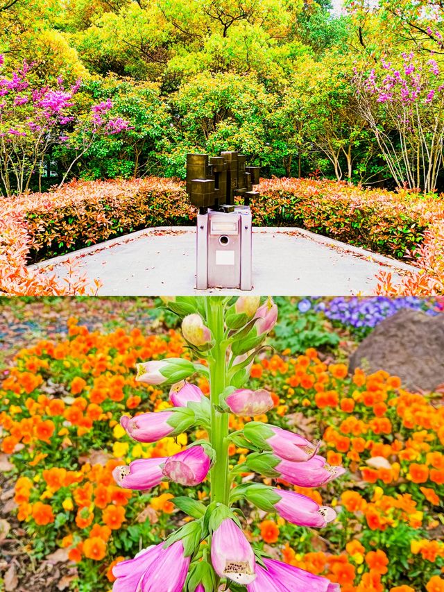 自然風光和人文氣息的黃興公園，你玩得可真花啊