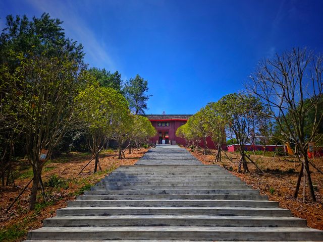 四川省自貢市富順縣天池湖位於寶慶鄉，是一個漂亮且綠樹成蔭的湖泊