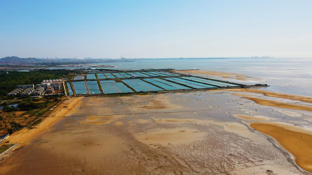 驚喜劉家灣趕海園