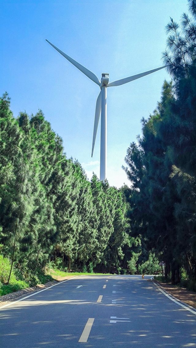 又到了平潭最美的季節，這篇北線攻略收好