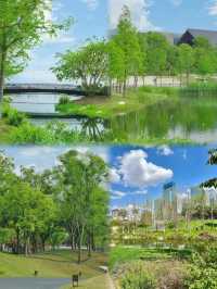 抓住週末陽光，帶著一群活潑萌寶，來一場愉快的都市綠地露營