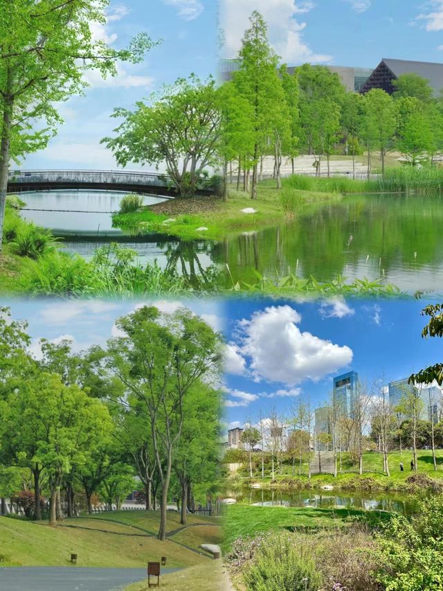 抓住週末陽光，帶著一群活潑萌寶，來一場愉快的都市綠地露營