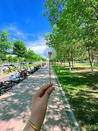 Beitun Yudai River Park is an excellent place to cool off and enjoy the coolness and beauty of summer