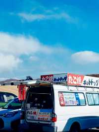 【熊本市】阿蘇火山博物館：春天踏春必去景點中文播音方便又貼心