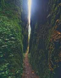 資源打卡景點。