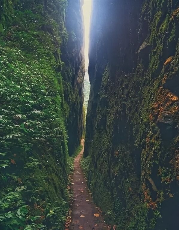 資源打卡景點。