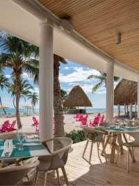 🌴✈️ Punta Cana's Paradise: Tortuga Bay Hotel Highlights 🏖️⛳