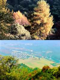 避暑天堂 黃山
