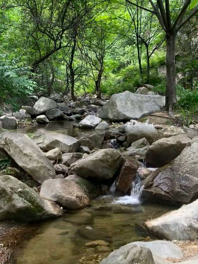 西安 | 逃離城市高溫，一頭栽進25度的秦嶺