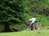 恰西森林公園:秘境中的綠色寶藏。