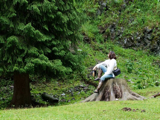 恰西森林公園:秘境中的綠色寶藏。 恰西森林公園:秘境中的綠色寶藏。