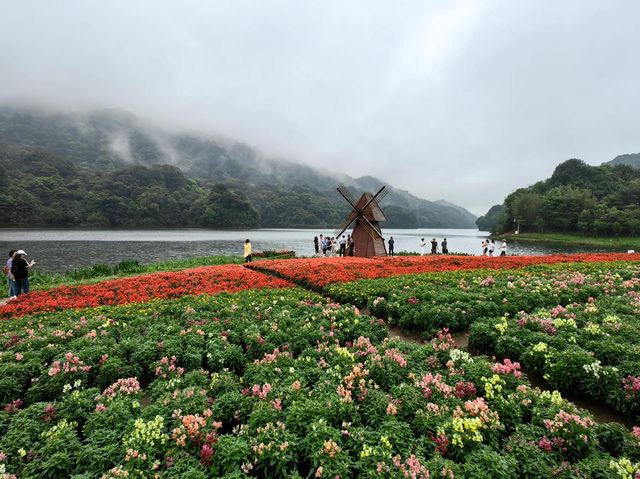 廣州溜娃玩水最美地！！廣州從化石門森林公園