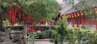 福建會館北門外看合歡，門內看睡蓮