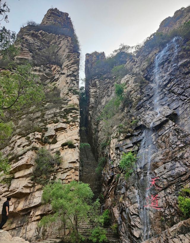 世外山水畫 傳奇梨木台。