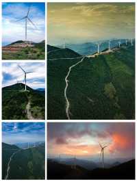 浙江磐安青梅尖，山地露營，避暑觀景好去處