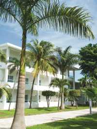 🌴🏨 Playa del Carmen's All-Inclusive Paradise 🍹✨