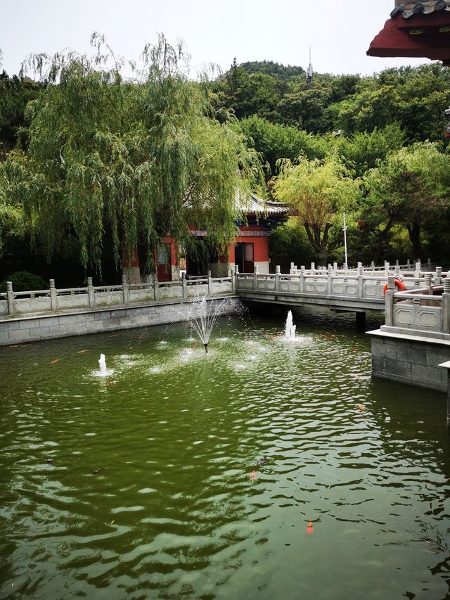 【山東榮成】石島赤山風景區自駕遊
