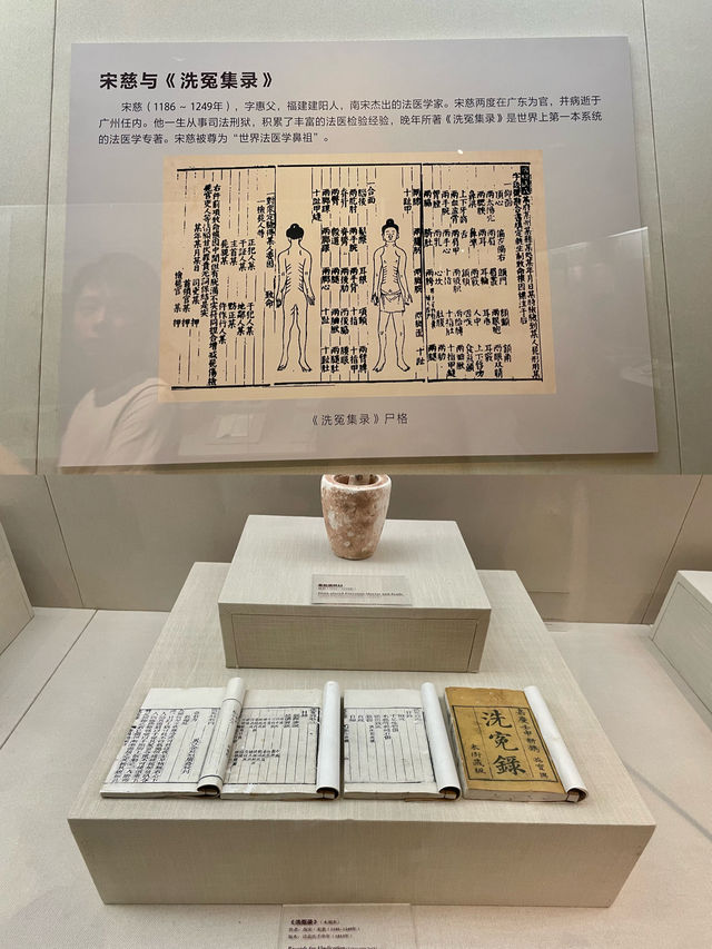 廣州｜開在大學裡的中醫藥博物館，超夢幻又好逛！
