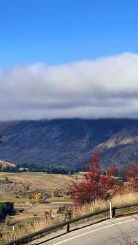 🌈Dreamy journey! Sky cable car takes you to overlook the beauty of Queenstown💖