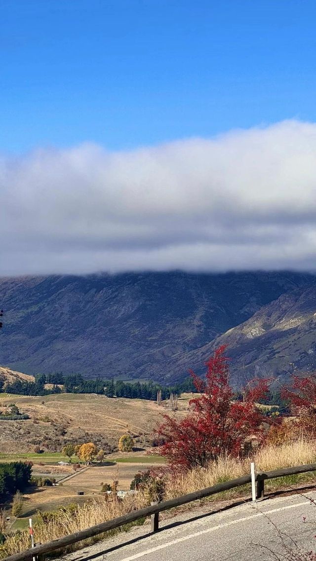 🌈Dreamy journey! Sky cable car takes you to overlook the beauty of Queenstown💖