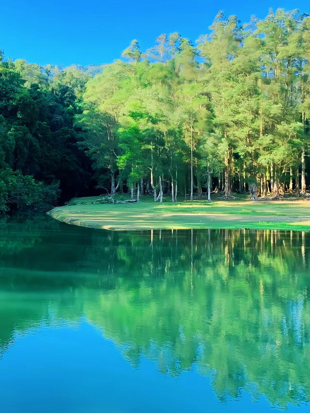 【香港城門水塘】Wanaka的鬆弛感🔥，湖面倒影美好寧靜🏖️🏖️😍。週末適合行程🥰