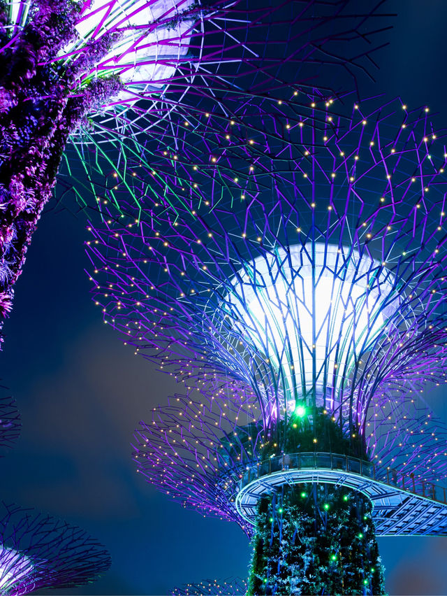 濱海灣花園用戶評價