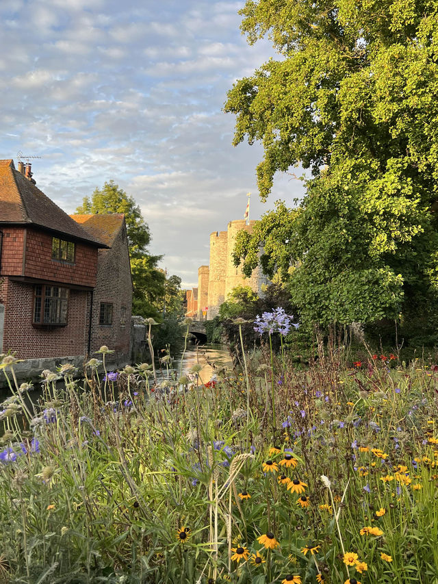 Canterbury is a small town in UK 🇬🇧 check out the nature 🩷