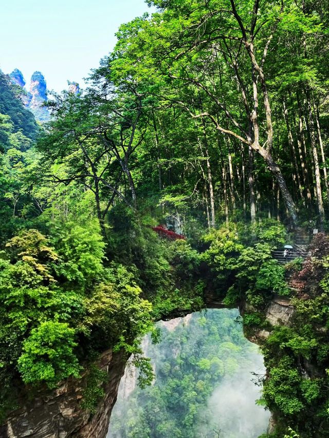 探秘大自然的鬼斧神工：張家界國家森林公園深度遊