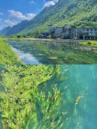 都安澄江會開花的河美得像一幅畫不要