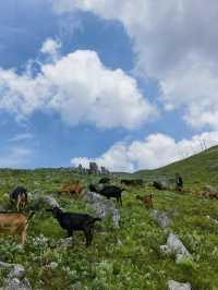 徒步昆明十峰——梁王山。