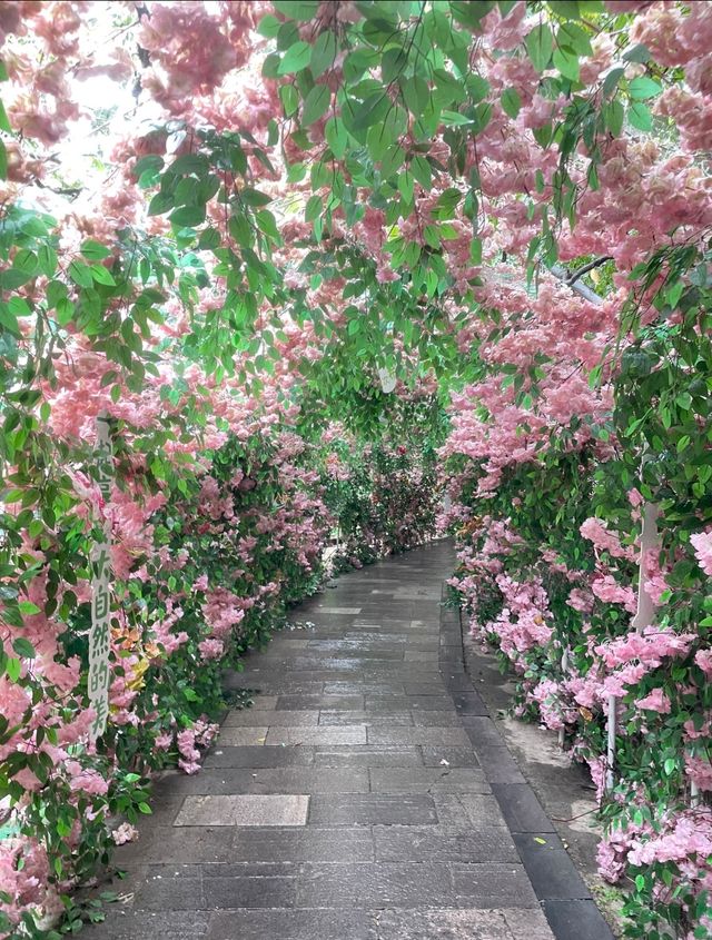 太平國家森林公園。