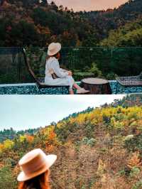 溧陽美岕嘅秋天係咁嘅｜你家鄉嘅又係點？