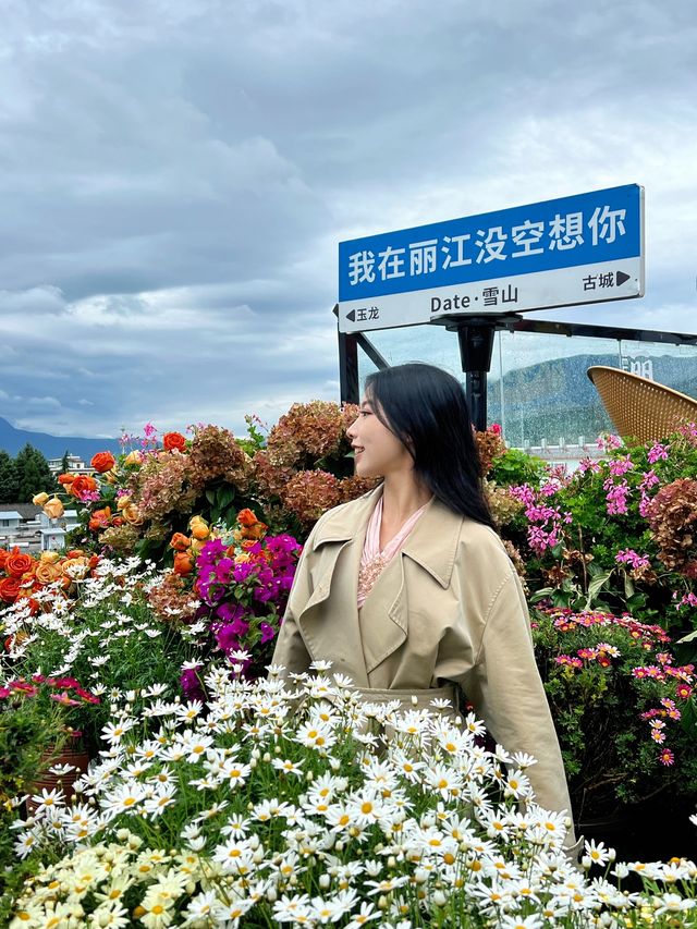 聽勸！來麗江看日照金山直接來這裡就行了！！。